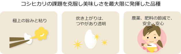 富富富(ふふふ)説明