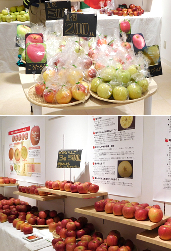 県産りんごフェア開催！