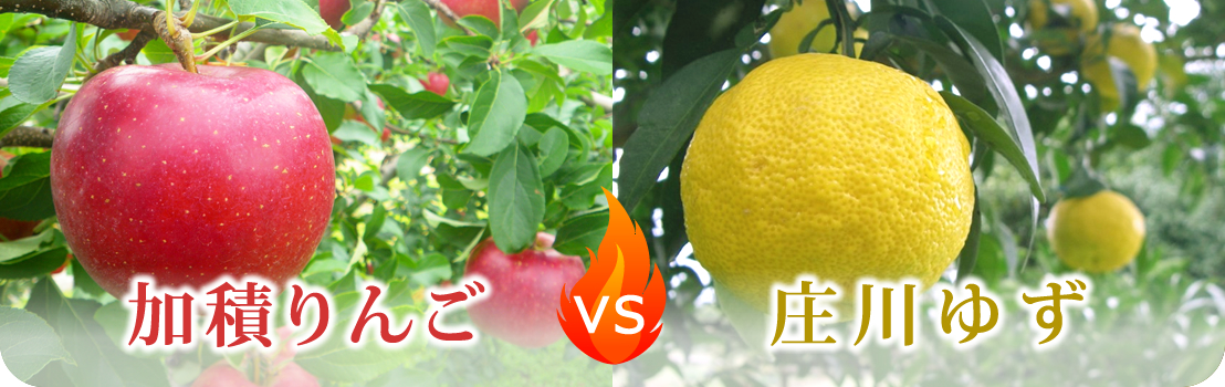 加積りんごVS庄川ゆず