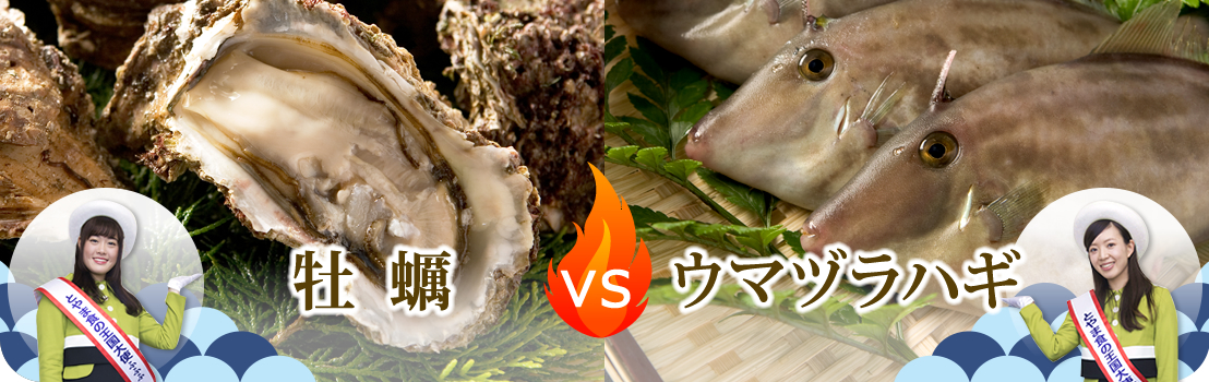 牡蠣VSウマヅラハギ