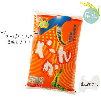 てんたかく(早生)