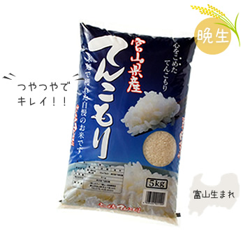 てんこもり(晩生)