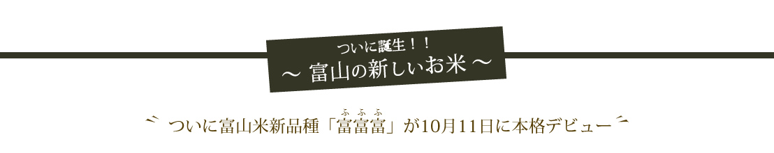 誕生!!富山の新しいお米 ついに富山米新品種「富富富」が10月11日に本格デビュー