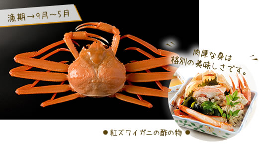 紅ズワイガニ（高志の赤ガニ）酢の物