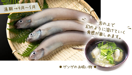 ゲンゲ　お吸い物