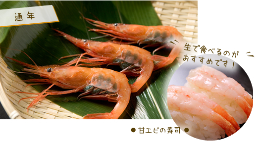 甘エビ　寿司