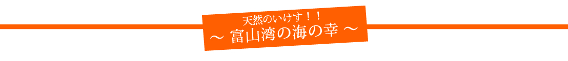 天然のいけす！！富山湾の海の幸
