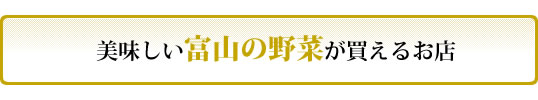 美味しい富山の野菜が買えるお店
