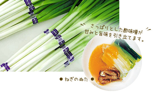 富山しろねぎ ねぎのぬた さっぱりとした酢味噌が甘みと旨みを引き立てます。