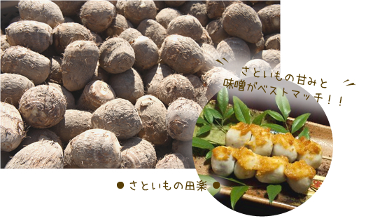 さといも さといもの田楽 さといもの甘みと味噌がベストマッチ!!