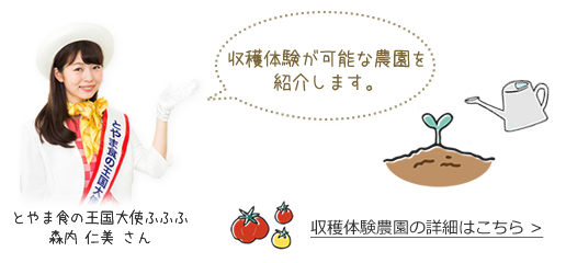 収穫体験が可能な農園を紹介します。 とやま食の王国大使ふふふ 森内 仁美さん 収穫体験農園の詳細はこちら>