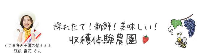 採れたて!楽しい!美味しい!収穫体験農園