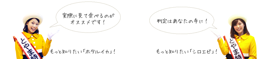 実際に見て食べるのがオススメです！判定はあなたの手に！