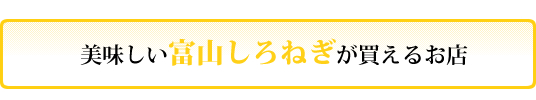 富山しろねぎが買えるお店