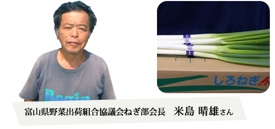 富山県野菜出荷組合協議会ねぎ部会長　米島晴雄さん