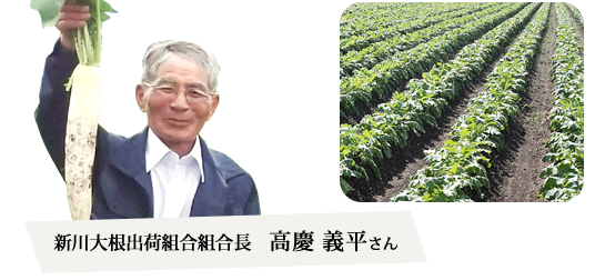 新川大根出荷組合組合長　高慶義平さん