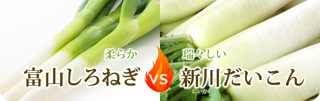 富山しろねぎVS新川だいこん