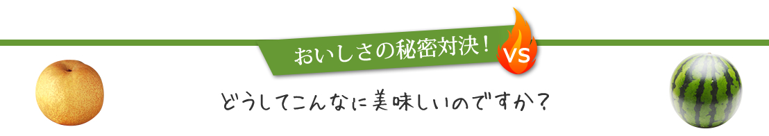 おいしさの秘密対決！