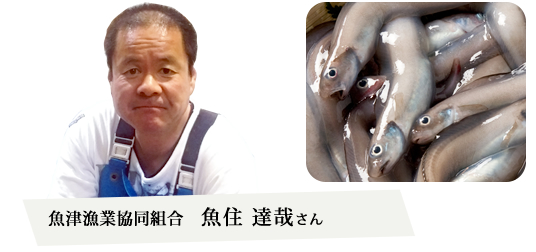 魚津漁業協同組合　魚住達哉さん
