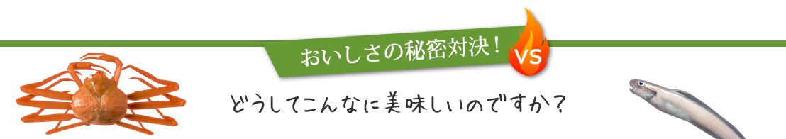おいしさの秘密対決！