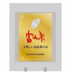 楯