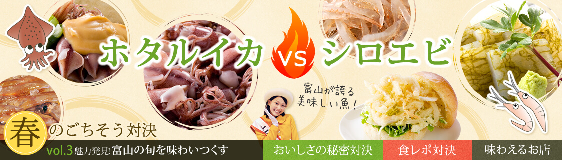 vol.3　ホタルイカvsシロエビ