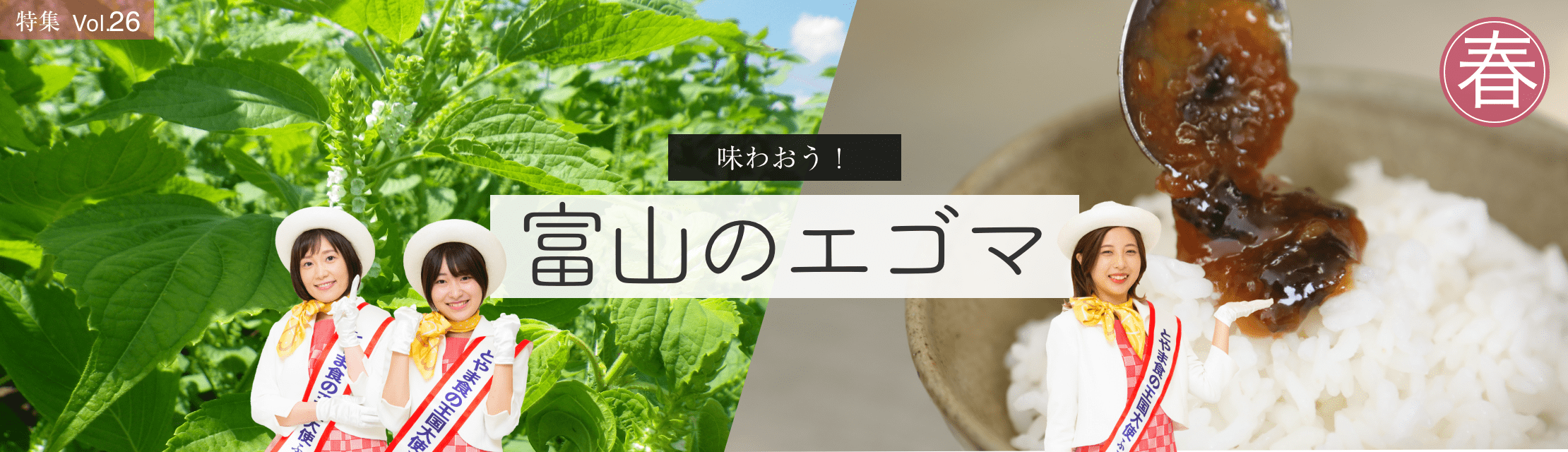 vol.26　味わおう！富山のエゴマ