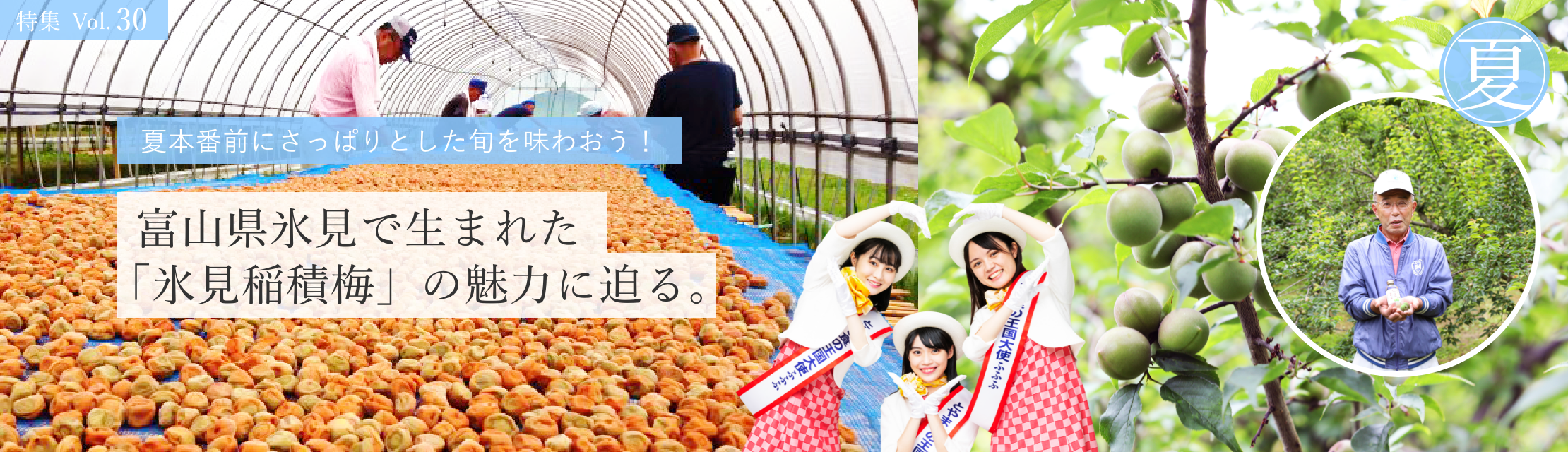 vol.30　富山県氷見市で生まれた「氷見稲積梅」の魅力に迫る。