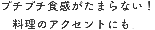 プチプチ食感がたまらない！料理のアクセントにも。
