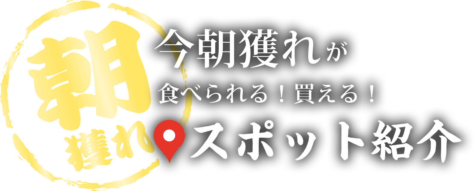 今朝獲れが食べられる!買える!スポット紹介